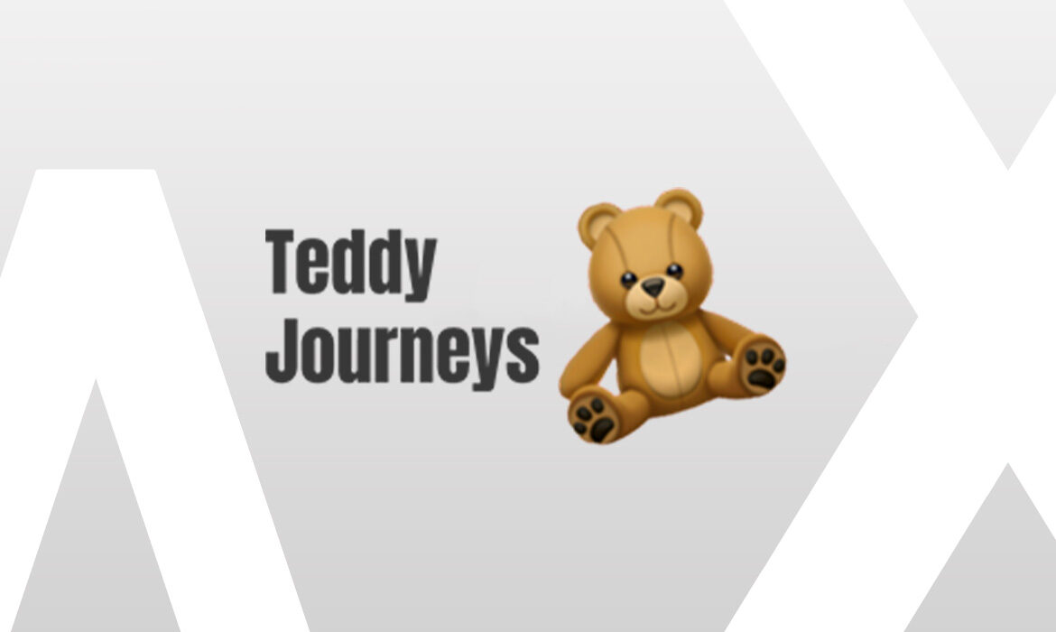 Teddy Journey